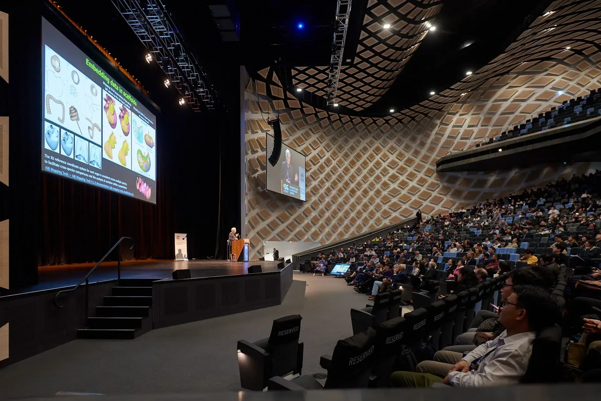 Plenary hall seen from the back rows: stage, big presentation screens and a tiered audience